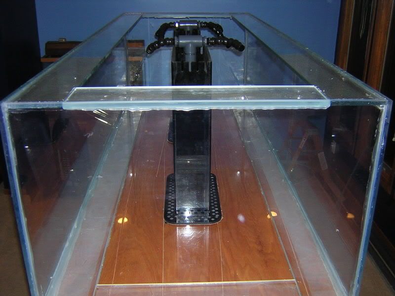 Who has built a large DIY glass aquarium? TCMAS Forums